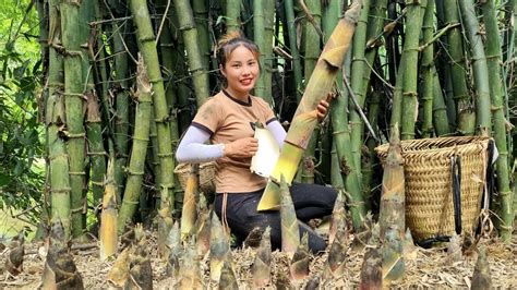 Harvested Giant Bamboo Shoots Brought To The Market To Sell The Process