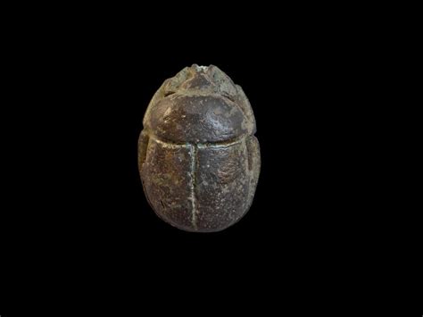 scarab | British Museum