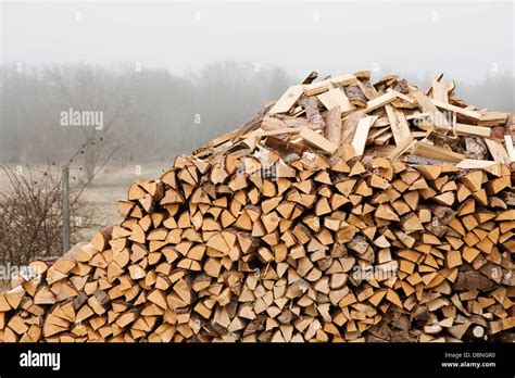 Pile Of Firewood Stock Photo Alamy