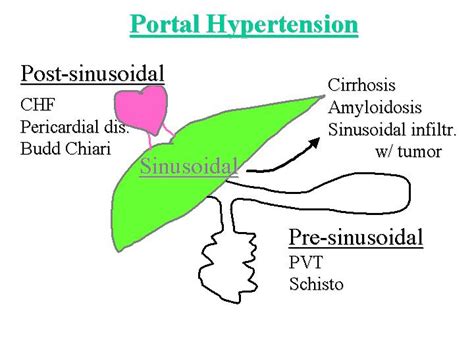 Cpc Case Study