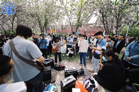 【2023海棠季】津云：天津大学开放日 8万校友市民来赴海棠之约 天津大学新闻网