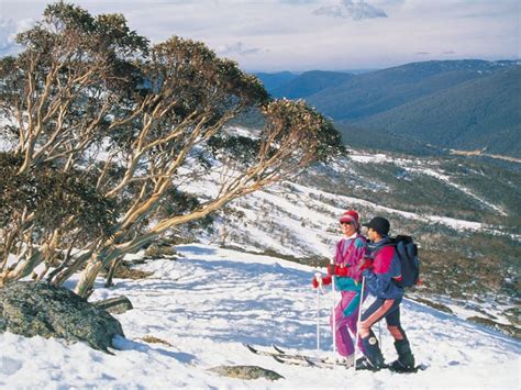 Jindabyne Sport And Recreation Centre Nsw Holidays And Accommodation