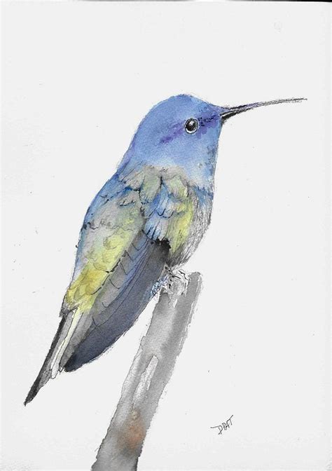 Golden Tail Sapphire Hummingbird Painting By David Patrick Fine Art