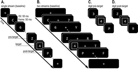 Illustration of the stimulus sequence in Experiment 1. Participants had ...
