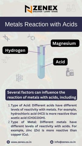 Metals Reaction with Acids Exploring Factors and Applications by krshiv578 - Issuu