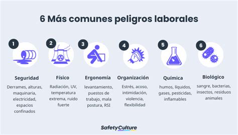 Identificar Los Tipos De Riesgos Laborales Safetyculture 72128 The Best Porn Website