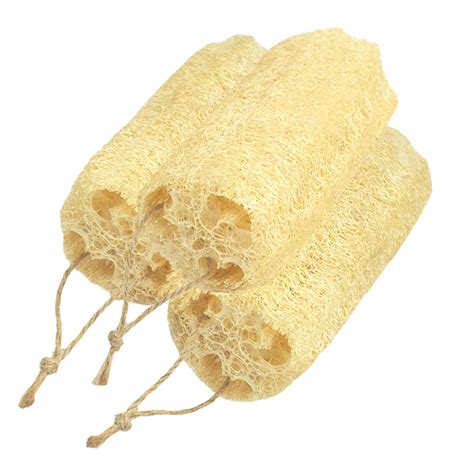 Buy Yjlphh 5 Natural Loofah Exfoliating Body Sponge Scrubber For Skin