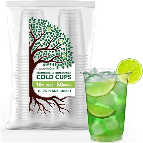 Stock Your Home 16 oz Clear Commercially Compostable Cold Cups (50 Pack