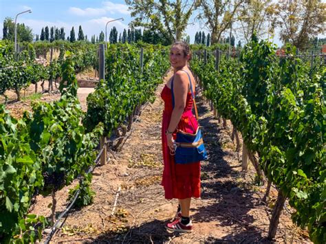 Melhores Vin Colas De Mendoza Para Visitar Brindes Na Argentina Guia