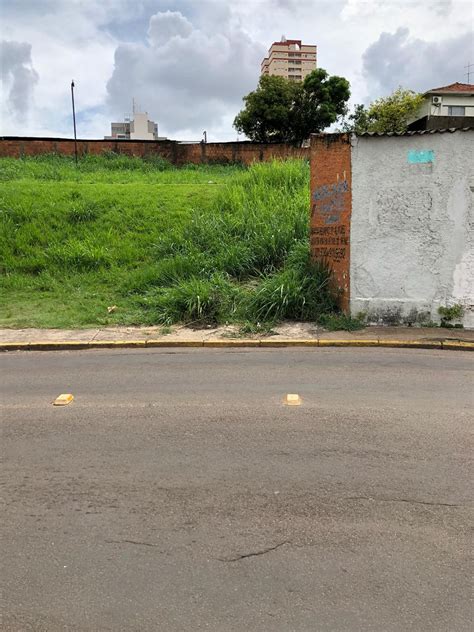 Cad Ver Encontrado Em Terreno Baldio Na Rua Mendes De Morais Em