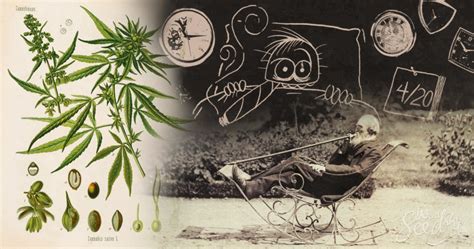 History Of Cannabis 10 Facts You Didnt Know Weedseedshop