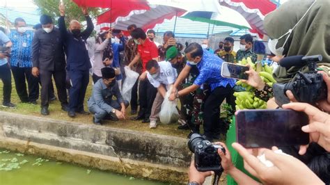 Panen Udang Vaname Di Lapas Balikpapan Jadi Percontohan Produktif