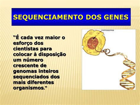 Ppt Projeto Genoma Humano Powerpoint Presentation Free Download Id