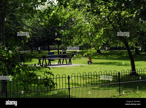 Peckham Rye Park In Spring Time Stock Photo Alamy