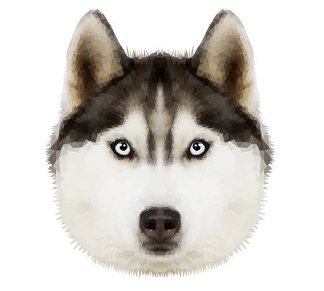 Husky Png Transparent Image Png Mart