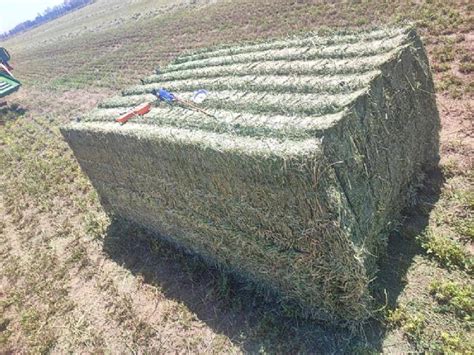 Megafardos De Alfalfa Fernandez Santiago Del Estero Agroads