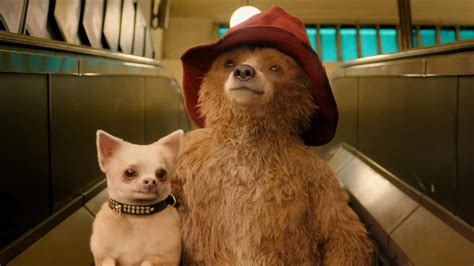 Paddington In Peru: Everything We Know So Far