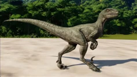 Os Dinossauros Carnívoros da Pré História Velociraptor YouTube