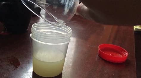 My Delicious Frozen Cum Gay Porn XHamster