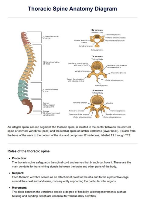 Infrapatellar Bursitis Treatment Guidelines And Example Free Pdf Download