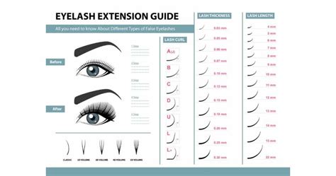 Different Eyelash Extension Curl Types A Comprehensive Guide