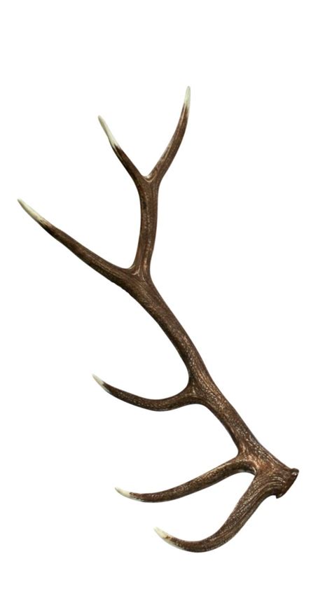 Elk Faux Antler Cast Horn Designs