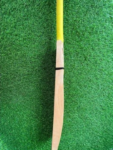 Dd International Standard Handle Kashmir Willow Tennis Cricket Bat For