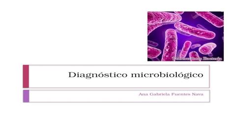 Diagn Stico Microbiol Gico De Tb Pptx Powerpoint