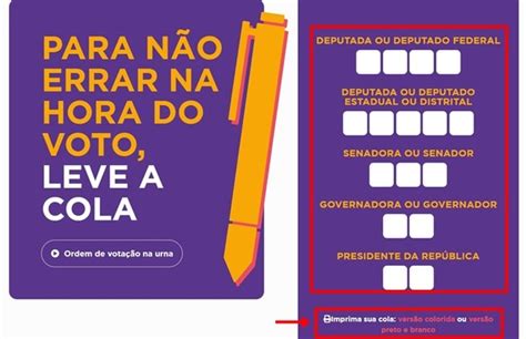 Eleições 2022 como fazer e imprimir cola eleitoral na ordem de votação