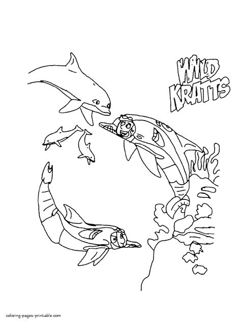 Wild Kratts dolphins coloring pages | Wild kratts, Coloring pages ...