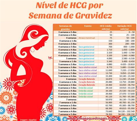 Confira A Tabela De N Vel De Hcg Por Semana De Gravidez E Os Eventos