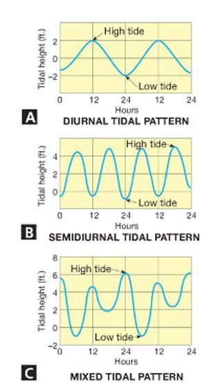 Tidal Patterns - Tides & Waves