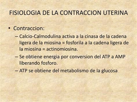 Musculo Liso PPT