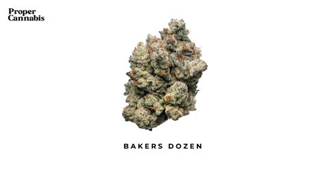 Bakers Dozen Strain Proper Cannabis