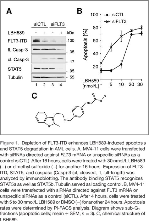 Figure 1 From Breakdown Of The Flt3 Itdstat5 Axis And Synergistic