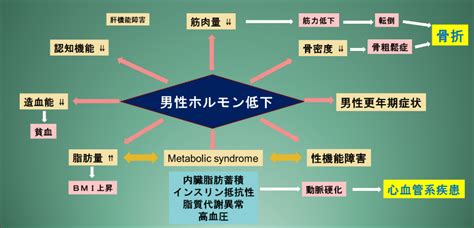 男性更年期障害（loh症候群） 中野駅前ごんどう泌尿器科