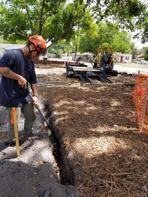 ISA Certified Arborist Of Pinellas & Hillsborough