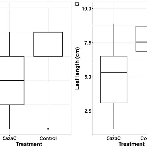 Phenotypic Consequences Of The Demethylation Treatment At Seed