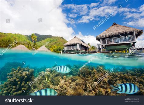 shutterstock