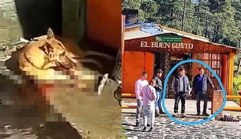 Matan A Golpes A Un Perro Que Se Acercó A Un Restaurante En El Ajusco Los Denuncian