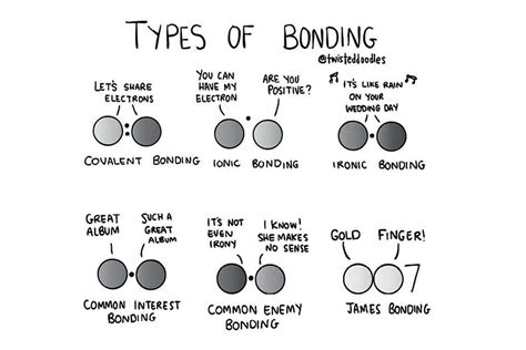 A Twisteddoodles guide to chemical bonding | New Scientist