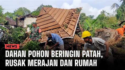 Dahan Pohon Beringin Patah Di Bangli Rusak Merajan Dan Rumah YouTube