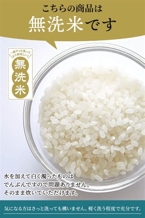 【楽天市場】令和6年産 無洗米 5kg 米 10kg コシヒカリ 白米 お米 こしひかり 送料無料 長野県産 北信産 精米 ギフト 5kg