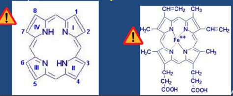 45 Synthesis Of Prophyrins And Porphyrias Flashcards Quizlet