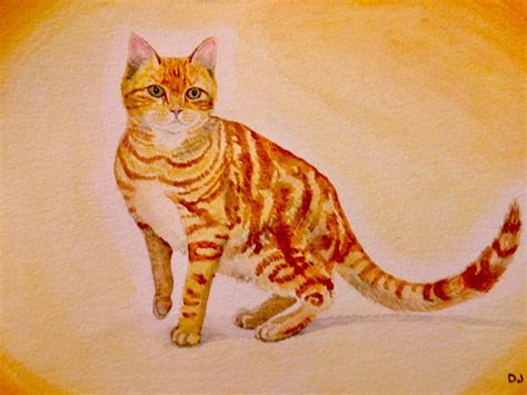 Ginger Tom 2 By Debjack On Deviantart