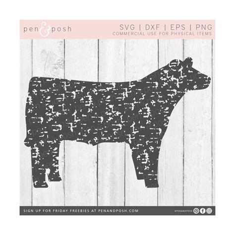 Steer Svg Cow Svg Cattle Svg Distressed Cow Svg Stee Inspire