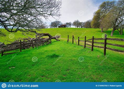 Lush Hillside And Rustic Fence With Barn Stock Image Image Of Tree