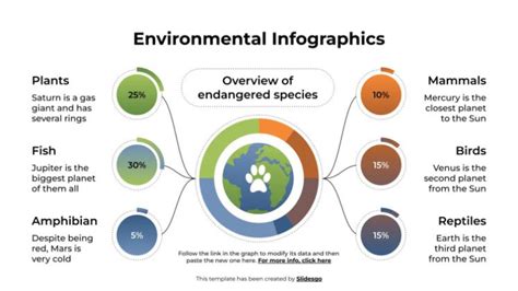 Environmental Infographics Presentation