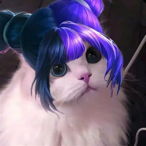 mlbb cat pfps ideas  save today legend cat cat icon mobile