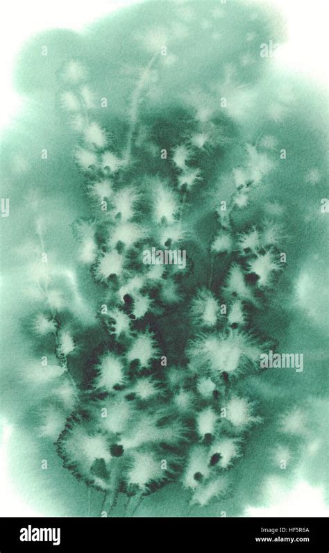 Pussy Willow Twigs Green Watercolor Stock Photo Alamy